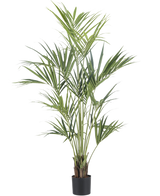 De Kunstplant Kentia Palm 190 cm brandvertragend heeft lange, slanke groene bladeren en meerdere dunne stelen in een eenvoudige zwarte pot, tegen een effen witte achtergrond.