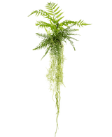 La plante artificielle suspendue Fougère 90 cm a des feuilles de fougère vertes luxuriantes avec de longues tiges traînantes qui pendent sur un fond blanc uni.