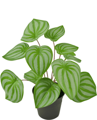 Plante artificielle Pastèque 29 cm