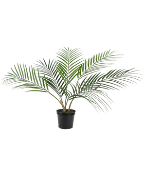 De Kunstpalm Chamaedorea 48 cm heeft lange, slanke groene bladeren die zich vanuit het midden naar buiten uitstrekken en wordt geleverd in een eenvoudige zwarte plastic pot, tegen een witte achtergrond.