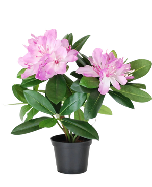 De Kunstplant Rhododendron 34 cm heeft glanzend groene bladeren en trossen lichtroze bloemen in een kleine zwarte plastic pot, tegen een witte achtergrond.