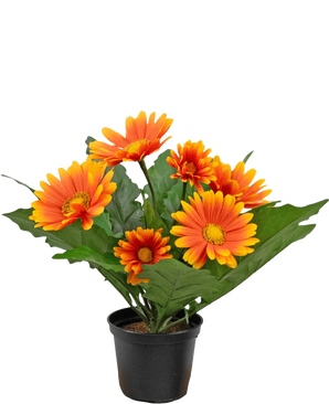 La plante artificielle Gerbera UV orange de 28 cm a des fleurs artificielles ressemblant à des marguerites oranges et jaunes avec des feuilles vertes dans un pot noir, parfaites pour égayer n'importe quel espace.
