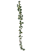 L'Art Tradescantia Garland Green 180 cm est une vigne à une seule feuille verte représentée verticalement sur un fond blanc uni.