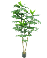 De Kunstplant Nangka 180 cm heeft meerdere dikke stengels en grote, glanzend groene bladeren in trossen en wordt geleverd in een kleine zwarte pot tegen een witte achtergrond.