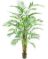 De Kunstplant Hawaii Parlour 180 cm is een hoge kunstpalm met meerdere groene, vederachtige bladeren en verschillende bruine stelen, in een kleine zwarte pot tegen een effen witte achtergrond.