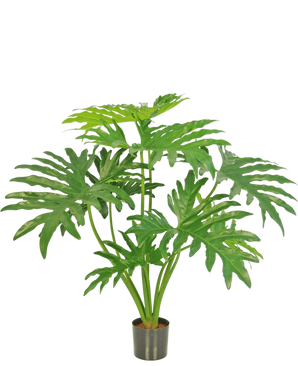 De Kunstplant Philodendron 80 cm is een kunstplant met grote, glanzende, diep gelobde groene bladeren tegen een effen witte achtergrond.