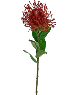 De Kunstbloem Protea 73 cm rood heeft een enkele rode speldenkussen protea met stekelige bloemblaadjes en groene bladeren op een lange, dunne steel, tegen een witte achtergrond.
