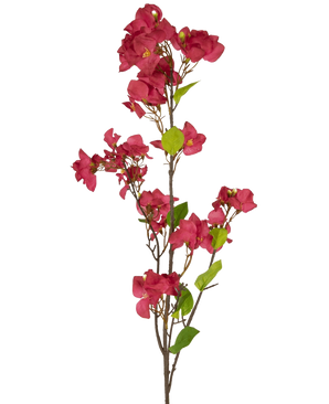 De Kunstbloem Bougainvillea 120 cm bordeaux heeft een enkele steel met trossen levendige bordeaux kunstbloemen en groene bladeren op slanke bruine takken, geïsoleerd tegen een witte achtergrond.