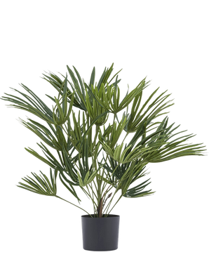 De Kunstplant Baby Palm Fan in pot UV 50 cm heeft lange, slanke groene bladeren in een stijlvolle pot - ideaal om een elegant tintje aan je interieur te geven of om te combineren met sierpotten voor extra flair.