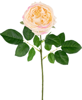 La rose de jardin artificielle "Anniken" Real Touch pêche (72 cm) est une rose pêche artificielle réaliste avec des pétales rose tendre et des feuilles vertes luxuriantes sur une longue tige, magnifiquement exposées sur un fond blanc.