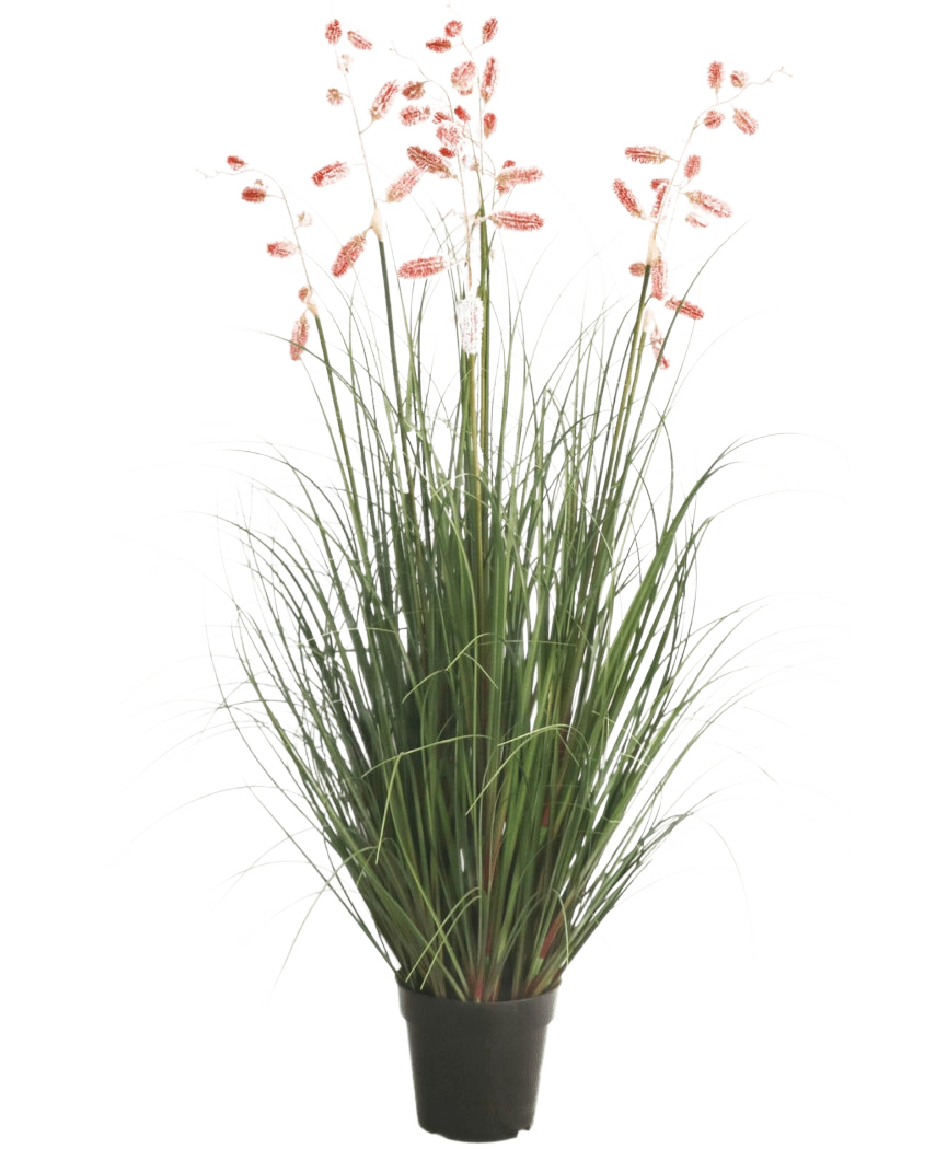 Le gazon artificiel mille-pattes 120 cm ignifuge possède de longs brins verts et de longues tiges fines avec des panaches roses, présentés sur un fond blanc.