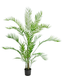 Plante artificielle Chamaedorea 150 cm
