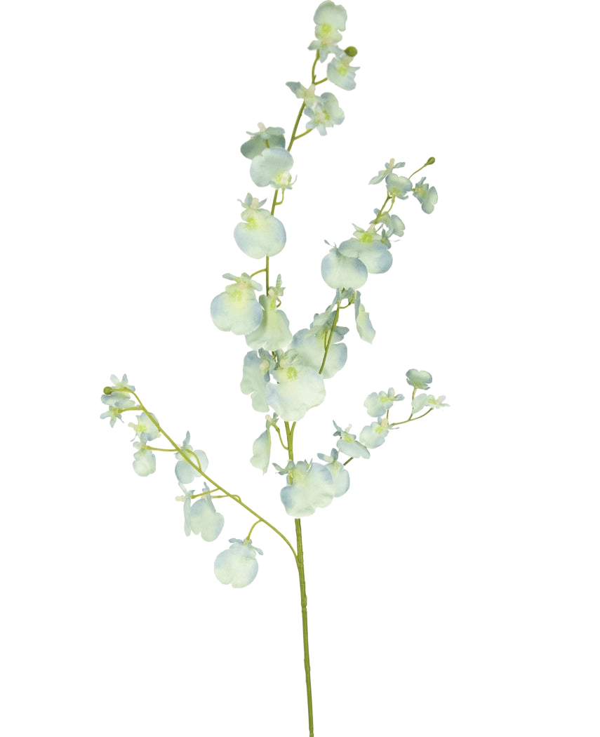 Une seule tige d'orchidée branche artificielle de 80 cm en turquoise a plusieurs petites fleurs et bourgeons artificiels, sur un fond blanc uni.